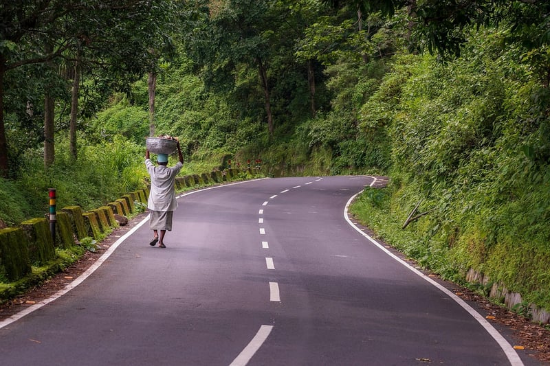 Walking meditation in nature